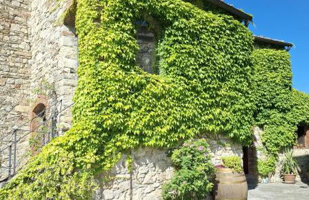 Borgo Livernano - Foto 11