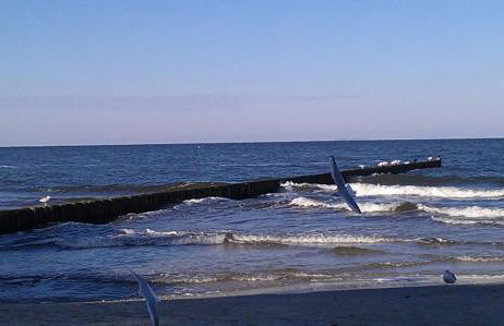 Fewo Seepferdchen - Foto 24