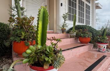 Some Tuesday Ranch - Foto 39