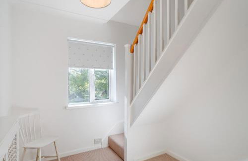 Shackleton - Foto 21