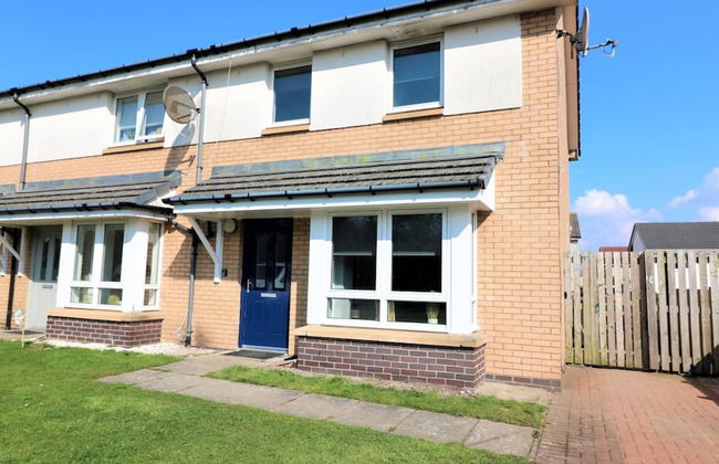 Whistleberry House - Hamilton - Photo 36