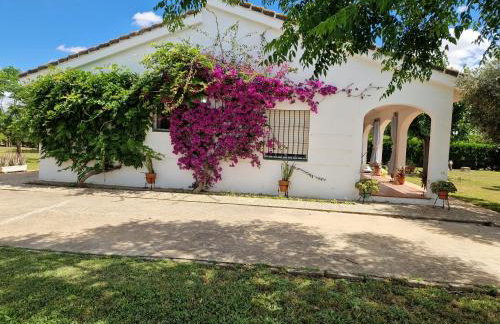 Casa en el campo cerca de sevilla - Foto 4