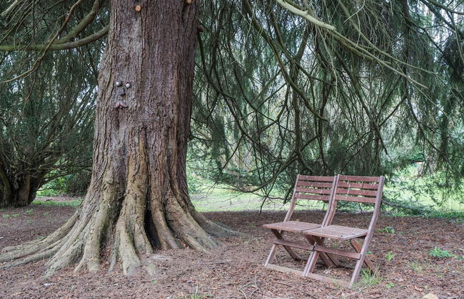 1-bed Cabin, 2 Adults, Outdoor Bath & Wood Burner - Photo 15