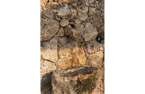 Villa Serena - Foto 3