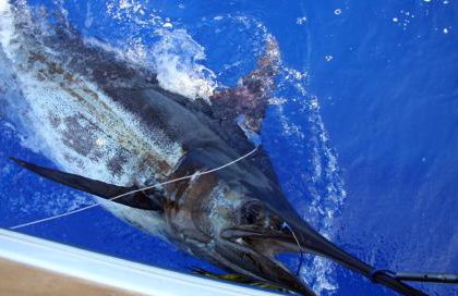 Casa Mao-Cheia - Foto 26