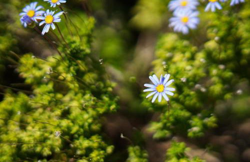 Casa Manjua - Foto 44