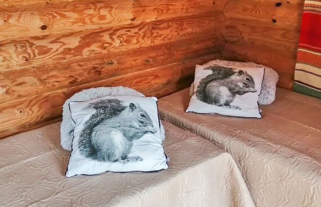 Ruokovirran mökki - Foto 6