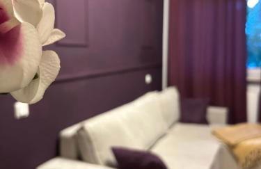 Purple Escape Balkon Netflix zentral - Foto 12