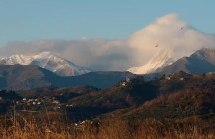 Massaciuccoli Romana - Foto 37