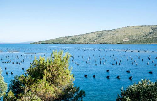 Home Sweet Home traditional Dalmatian house with pool - Photo 7