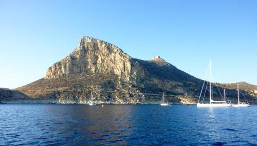 La Luna e il Gatto - Foto 4