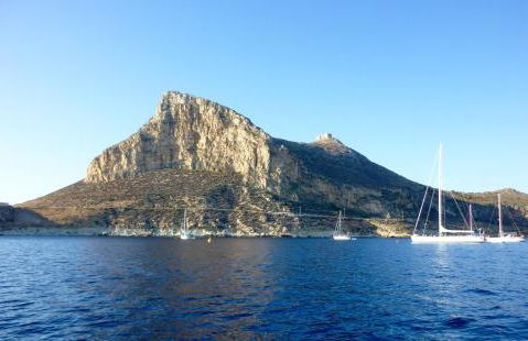 La Luna e il Gatto - Foto 4