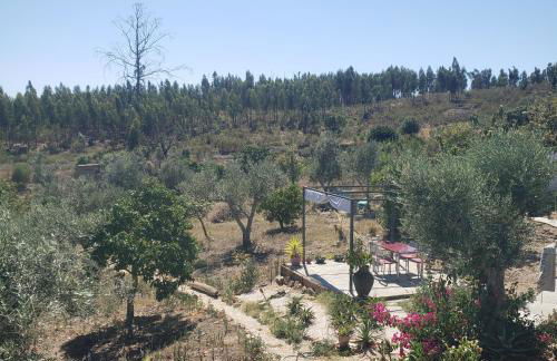 Casa Hortensia - Foto 10