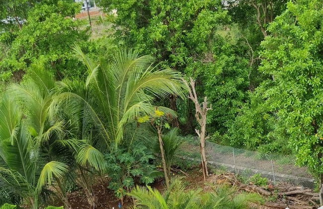 La Belle Maison De Bel Air - Photo 16