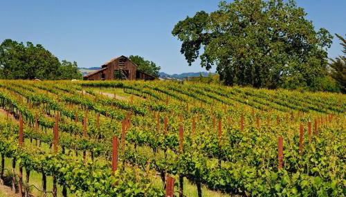 Enchanting Sonoma Wine Country Retreat 3BD2BA - Foto 2