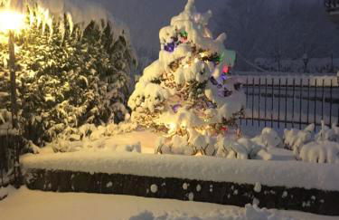 La casa del Pino Argentato - Foto 14