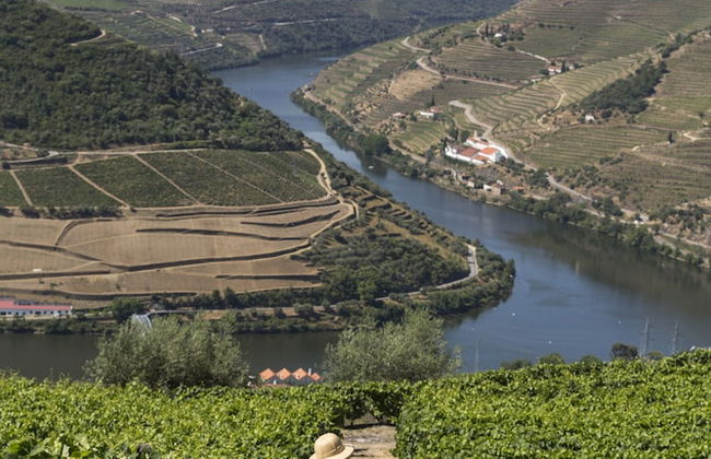 Casa de Casal de Loivos - Photo 52