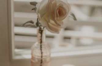 Weissewolke - Foto 9