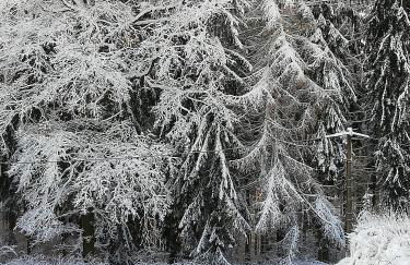 Ferienwohnung Oberpfannenstiel - Foto 29