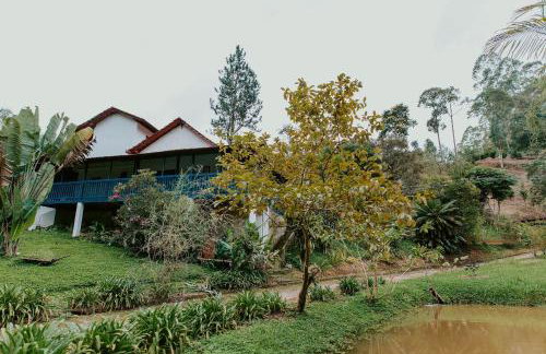 Sítio incrível 4Q c/ piscina e área de churrasco - Foto 50