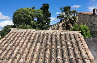 Les Gîtes sous l' Olivier en Camargue - Photo 39