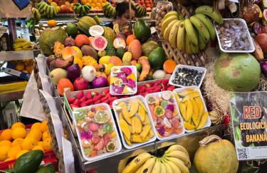 Income Spain Apartamentos - Photo 16