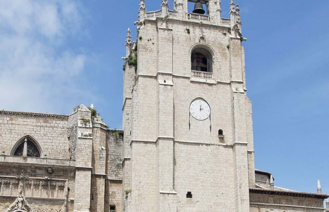Visite guidée de la cathédrale de Palencia - Photo 1