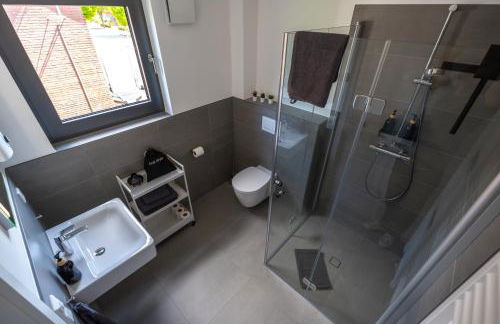 air bumble bee - Foto 22