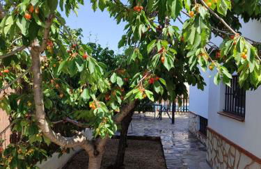 Casa Nilla - Foto 29