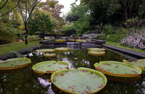 Casa Nostra - Photo 27