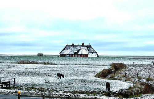 Hallig Hüs - Foto 24