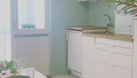 Apt 20 min from downtown train - Photo 5