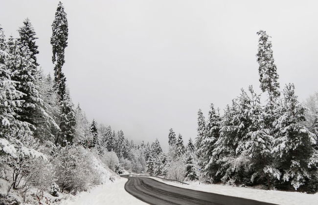 Villa Mtashi - Foto 16