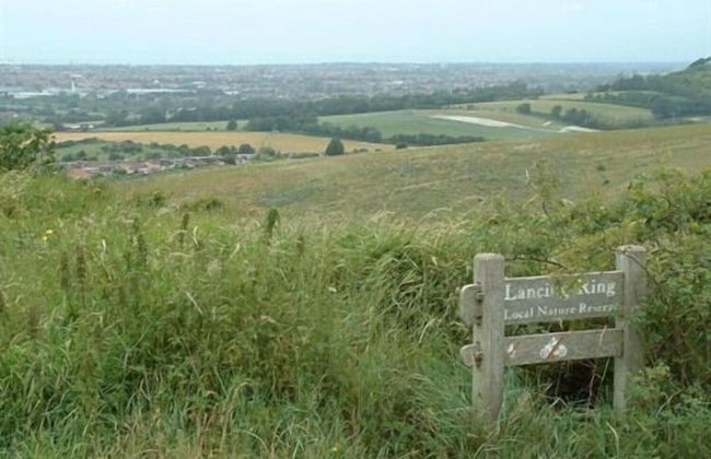 Laburnum By the Sea - Foto 14