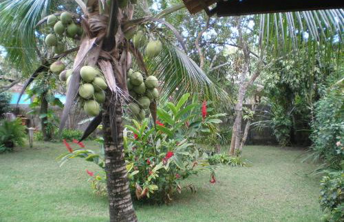 Casa Da Duda - Foto 38