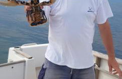 Gite 8 à10 pers 4 ch Herbaudière calme proche mer commerce et port - Foto 14