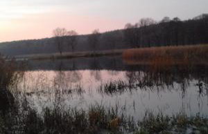 Dom Pod Sosnami - Foto 20