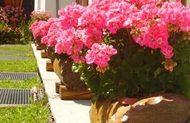 Baita dei Pini - Photo 14