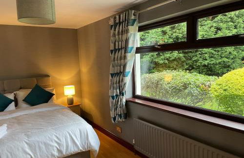 Cosy Countryside Apartment near Belfast - Foto 11