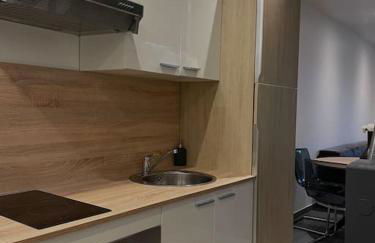 Paisible Duplexe sur Villeneuve d ascq - Foto 30