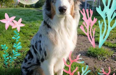 Les Jardins des 3 Provinces- Gîte - Foto 6