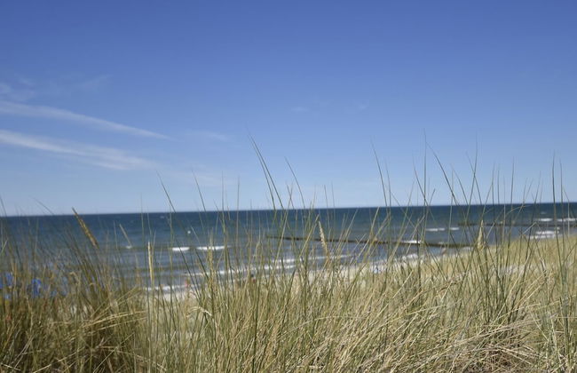 Holiday Home With Terrace in Graal-muritz - Photo 12