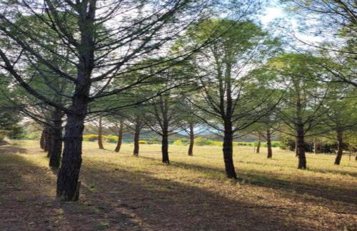 Villa With Pool & Views - Foto 70