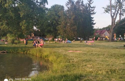 Pluski Dom "Ryś" nad J. Pluszne - Foto 34