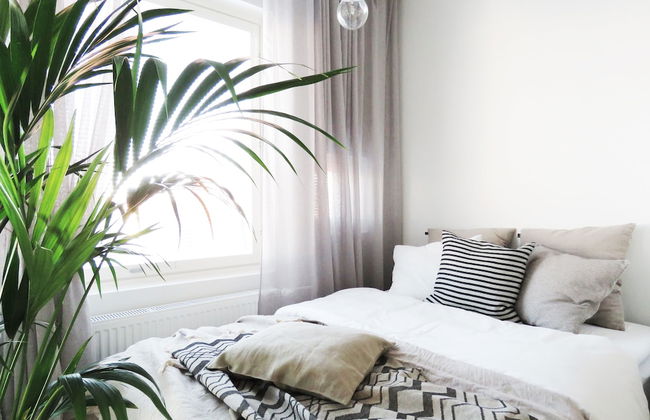 Roost Lauttasaari - Foto 2