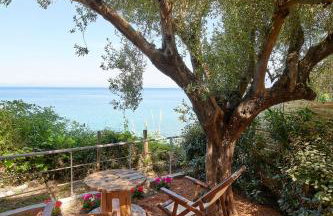 Cape Kitries - Photo 131