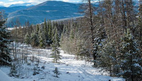 Watch Hill 216 - Foto 5