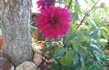 Sto Dimeiko - Foto 21