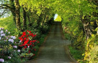 Ta Mill Cottages & Lodges - Brookview Lodge 3 - Foto 35