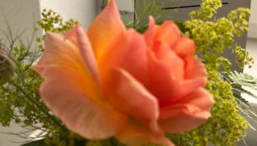 Kleine Auszeit - Foto 2